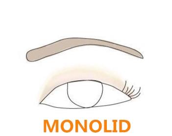 Monolido Monolid