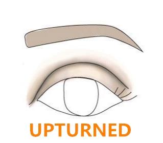 hacia arriba upturned