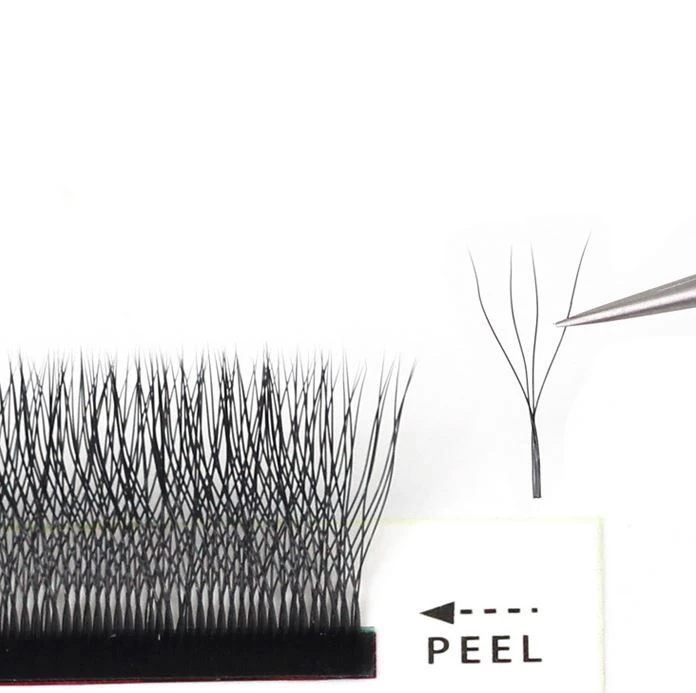 clover lashes