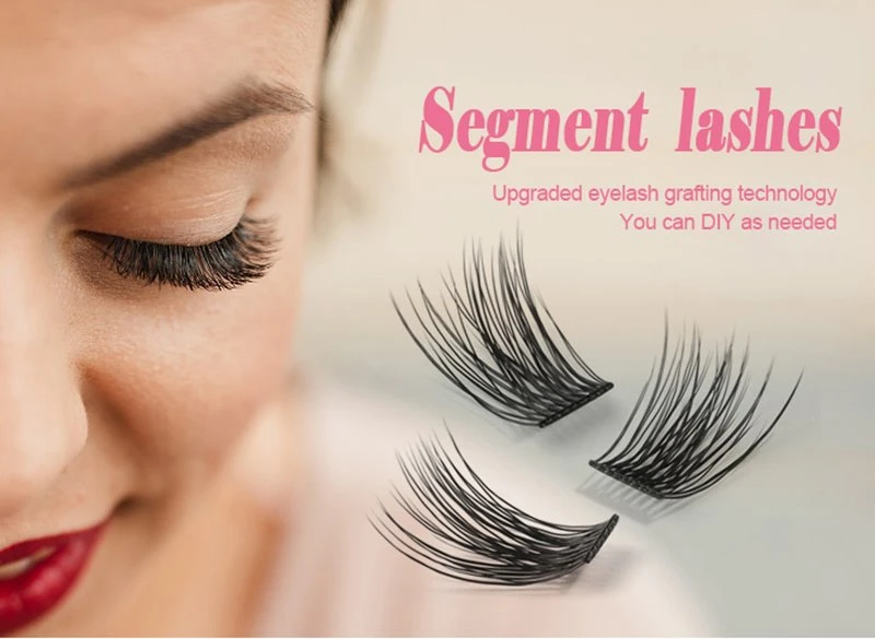 product-800-585 segmented lashes