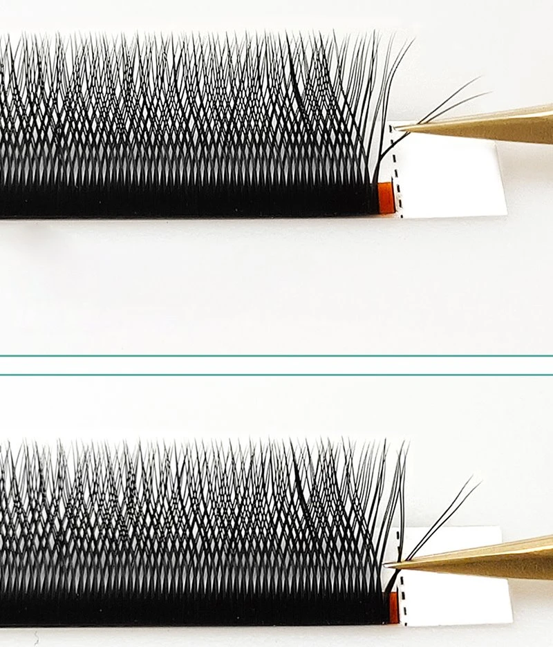 lashes extension YY